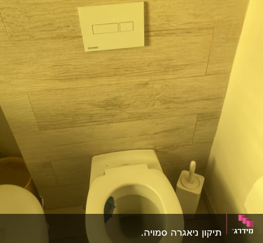 אסלה עם מברשת ניקוי ולחצן הדחה כפול